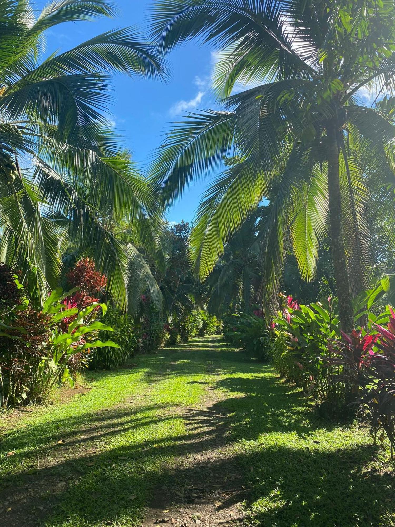 Finca La Paz - Sarapiqui Puerto Viejo de Sarapiqui Luaran gambar