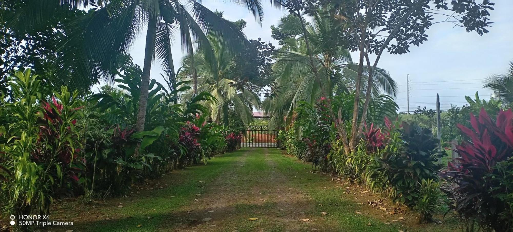 Finca La Paz - Sarapiqui Puerto Viejo de Sarapiqui Luaran gambar